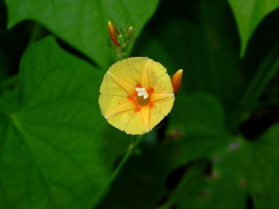 1-26-DSCN0293