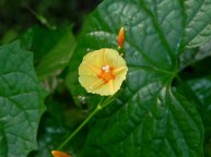 26-DSCN0046
