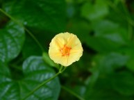 26-DSCN0047