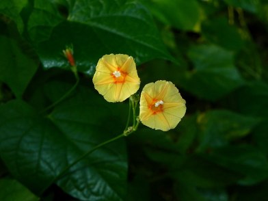 26-DSCN0242