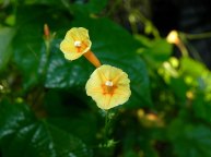 26-DSCN0393