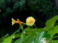 26-DSCN0395
