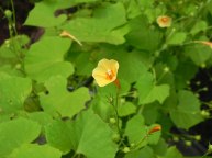 26-DSCN1177