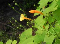 26-DSCN1178