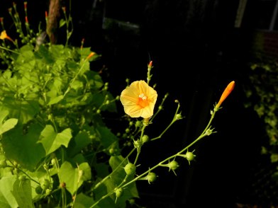 26-DSCN1843