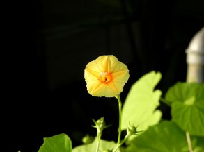 26-DSCN2318