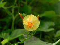 26-DSCN6959