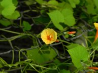 26-DSCN7525