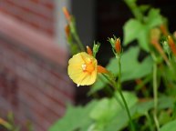 26-DSCN7547