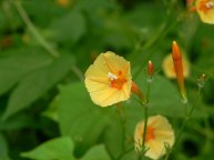 26-DSCN7549
