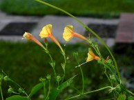 26-DSCN8384