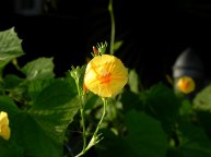 26-DSCN8390