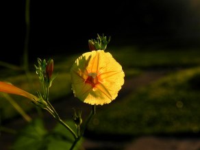 26-DSCN9581