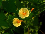 26-DSCN9666