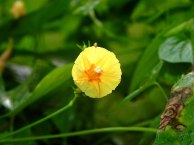 26-DSCN9874
