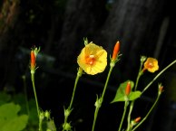5-26-DSCN2058