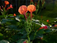 5-dscn3355