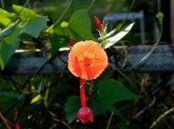 dscn0059