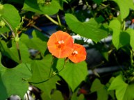 dscn0061