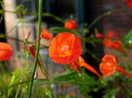 dscn1169