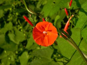 dscn2910