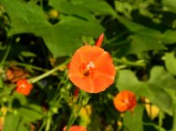 dscn3180