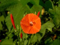 dscn3277_01