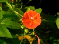 dscn3278_01