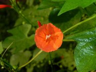 dscn3356