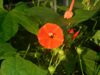 dscn3575