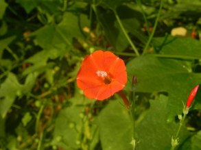 dscn3576