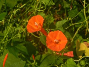 dscn3577