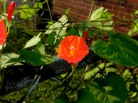 dscn7961