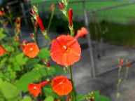 dscn8032