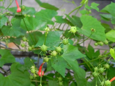 dscn9130_01