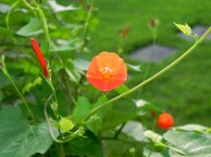 dscn9542