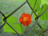 DSCN2273_01