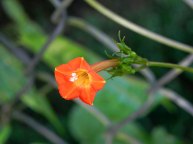DSCN2292_01