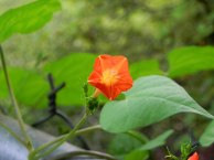 DSCN2327_01