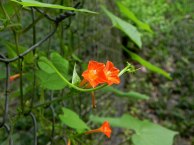 DSCN2362_01-26