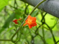 DSCN2363_01-26