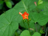 DSCN2419_01