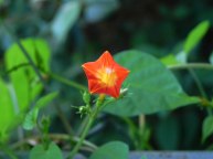DSCN2455