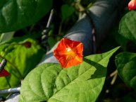 DSCN2632_01