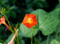 DSCN2633_01