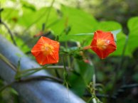 DSCN2634_01