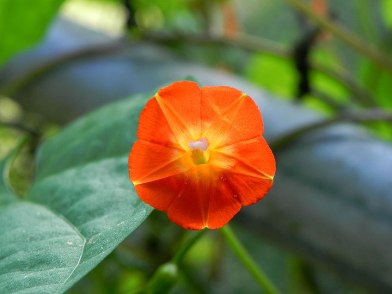 DSCN2724_01