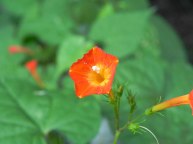 DSCN2807