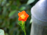 DSCN2809_01