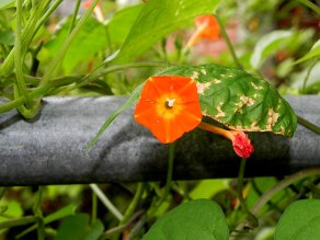 DSCN3089